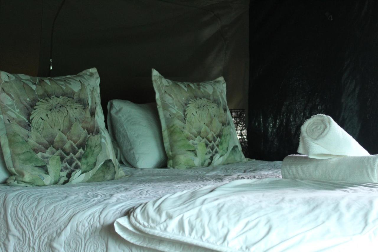 Otium Oasis Glamping & Luxuszelt *