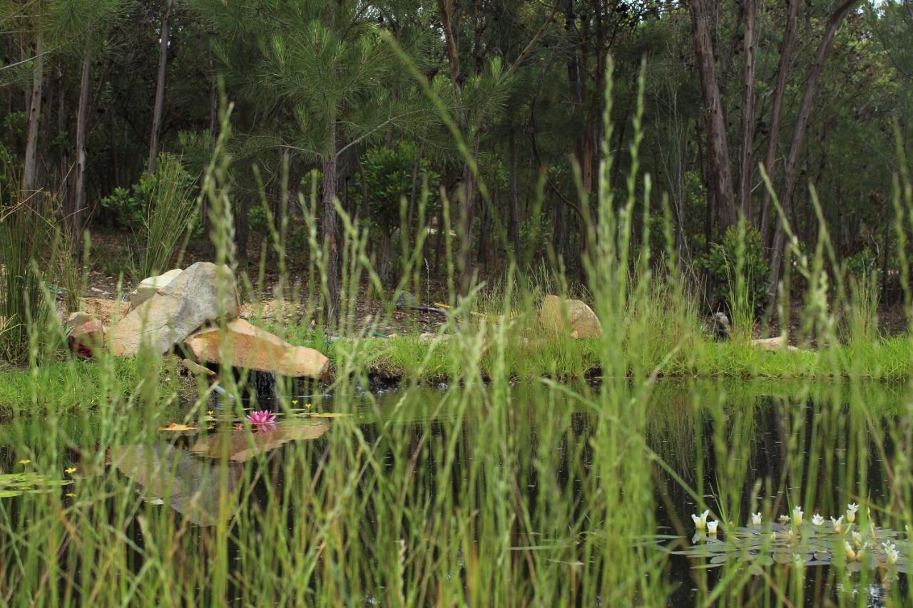 Luxuszelt Otium Oasis Glamping & *
