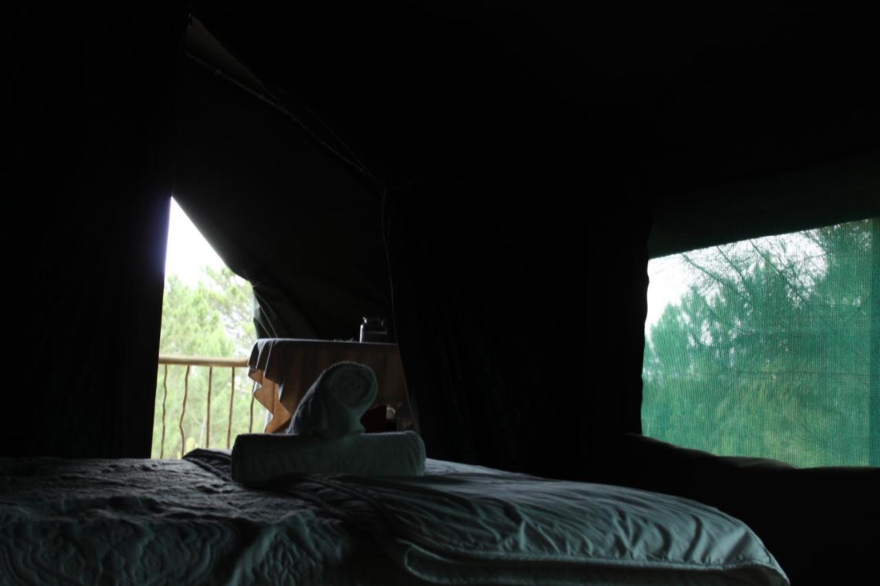 Otium Oasis Glamping & Hartebeesrivier