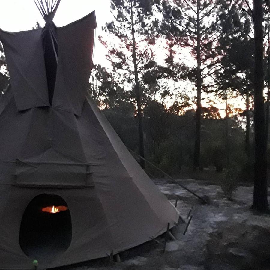 Otium Oasis Glamping & * Hartebeesrivier
