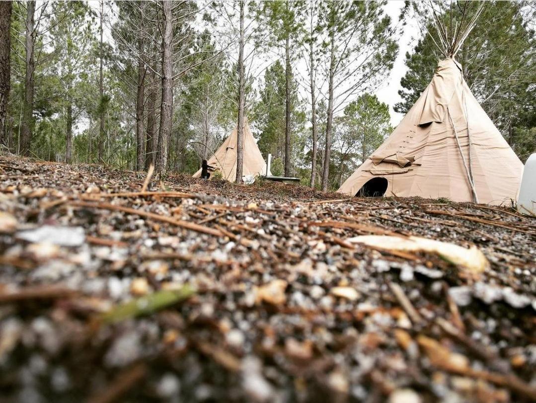 Otium Oasis Glamping & * Hartebeesrivier