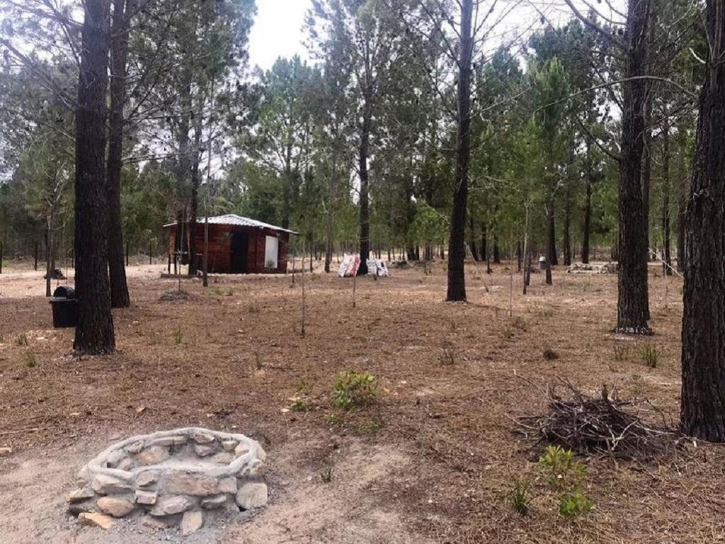 Luxuszelt Otium Oasis Glamping & *