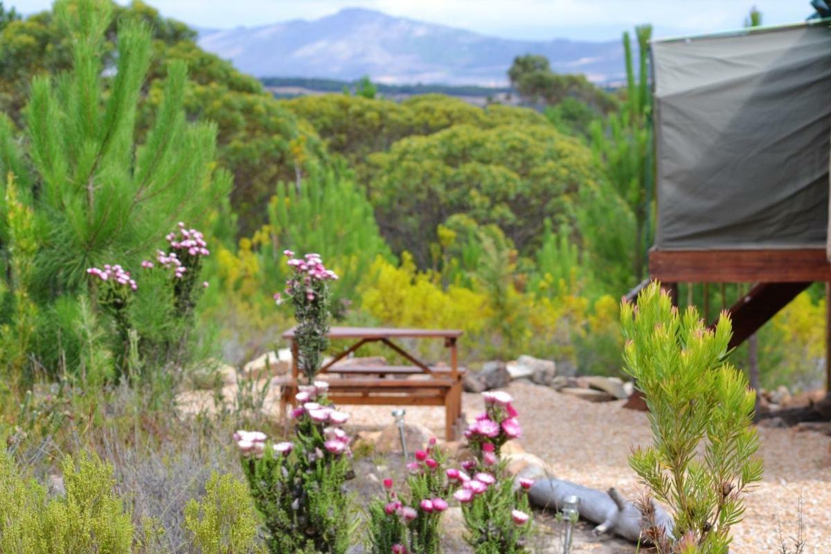 Luxuszelt Otium Oasis Glamping &