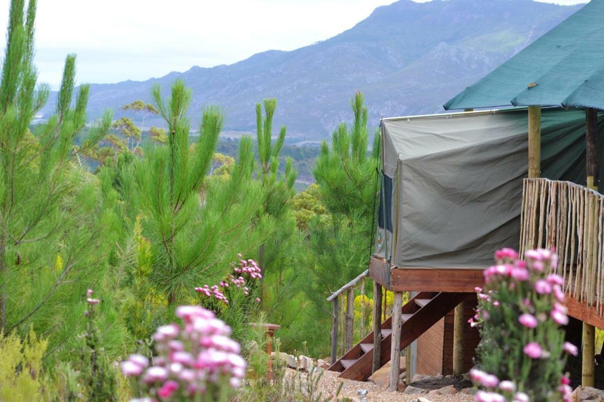 Otium Oasis Glamping & * Hartebeesrivier