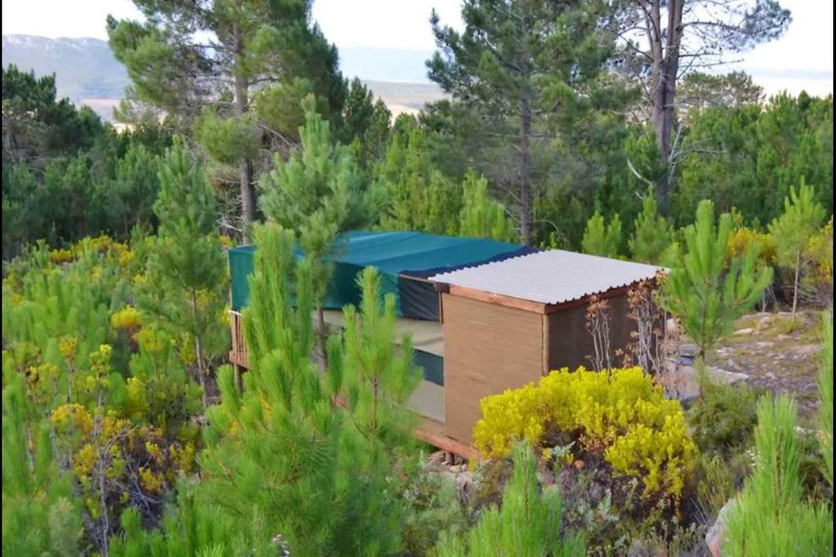 Luxuszelt Otium Oasis Glamping & Hartebeesrivier